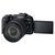 佳能（Canon）EOS RP 微单相机 数码相机 微单套机 全画幅专业微单（RF 24-105mm F4 L IS USM 微单镜头）第4张高清大图