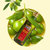 贝蒂斯特级初榨橄榄油礼盒500ml*2瓶 西班牙原装进口第9张高清大图