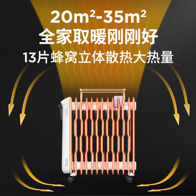 先锋（Singfun）取暖器 电暖器 电暖气家用 电油汀 13片热浪电热器 节能省电 干衣加湿 DYT-SS2