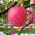 陕西洛川红富士苹果（5kg）一级直径80大果 新鲜水果第2张高清大图