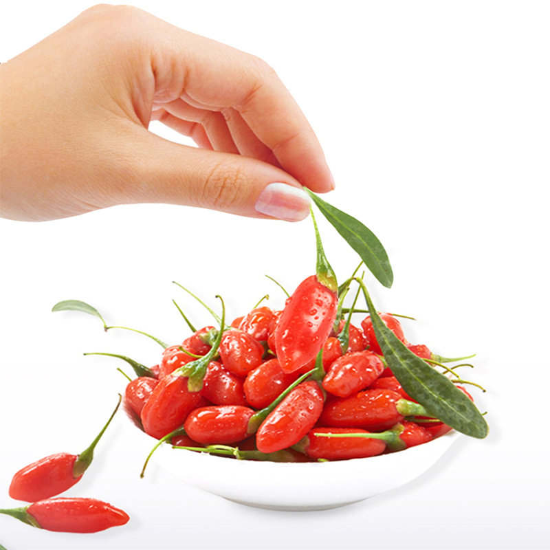 杞滋堂中宁枸杞头茬鲜枸杞大果500g鲜嫩水灵果鲜浓郁优质鲜果产地现摘