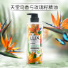 力士（LUX） 天堂鸟与玫瑰籽  550G 植萃精油香氛 沐浴露 (计价单位：瓶)