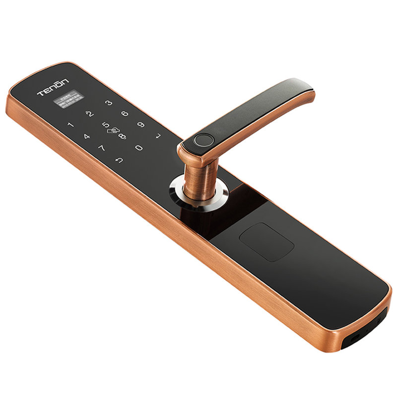 亚太天能指纹锁e3红古铜