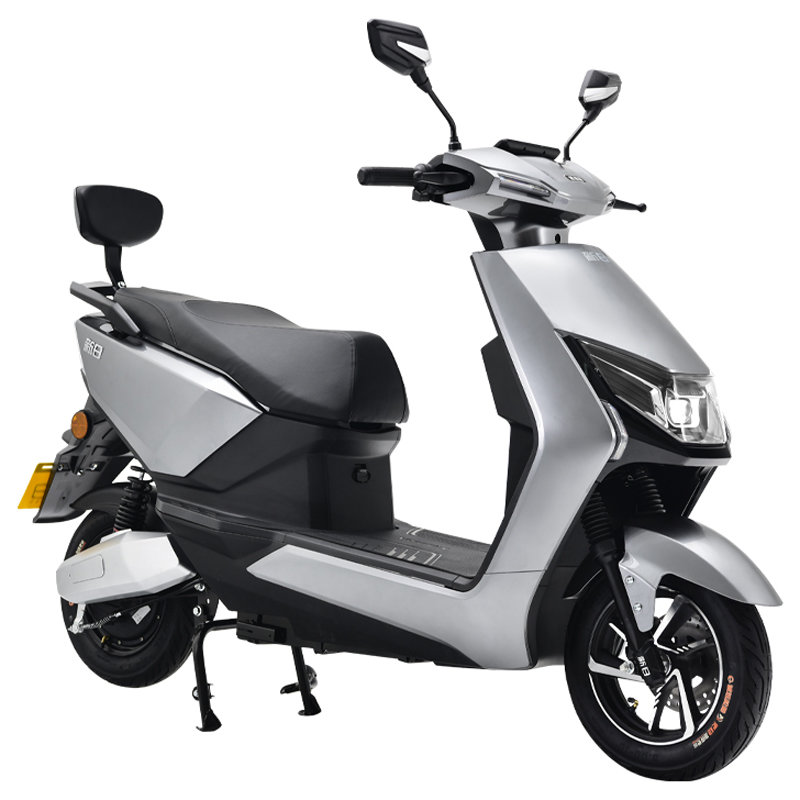 新日电动车k5vlstc20120012dgk1新铂雅灰