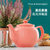 英国Price & Kensington网红陶瓷滤泡茶壶（含滤网）-祖母绿 450ml第3张高清大图